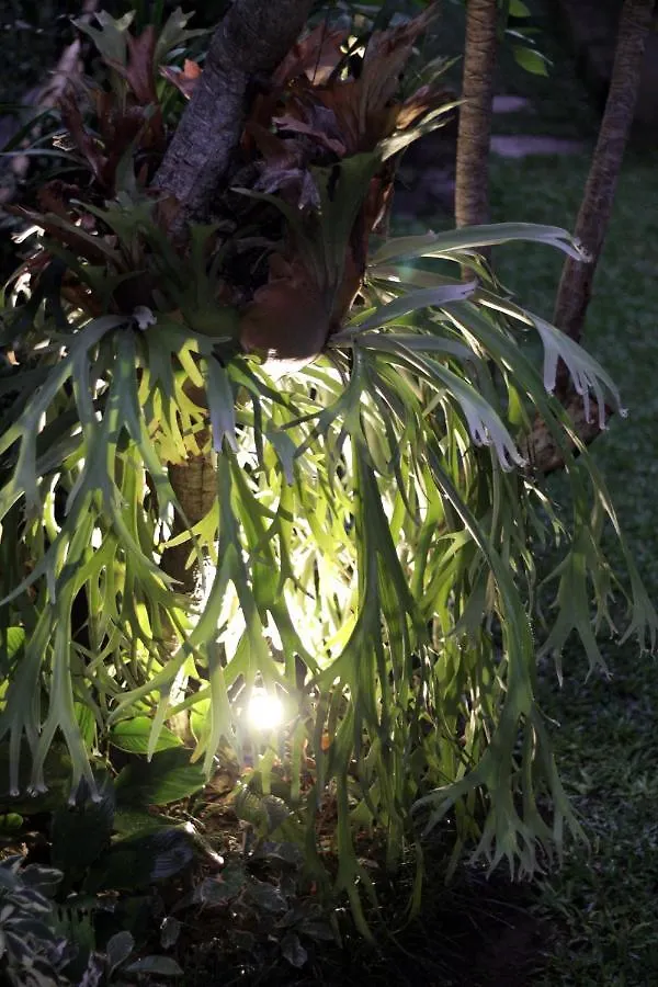 Sari House Ubud - Balinese Style Homestay 0*, 우붓 인도네시아